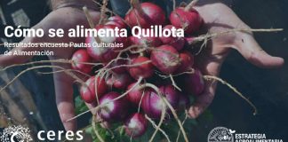 Cómo se alimentan las y los quillotanos: Inédito estudio indaga pautas culturales de alimentación de la comuna