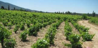 Detección y búsqueda de recursos hídricos subterráneos para la agricultura