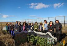 Emergencia agrícola por déficit hídrico en Magallanes