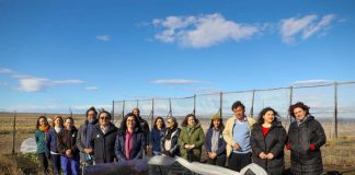 Emergencia agrícola por déficit hídrico en Magallanes