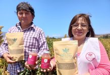 Emprendedoras chilenas presentarán sus productos en Las Vegas Jugo de frutillas con quinoa y turrón de amaranto