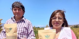 Emprendedoras chilenas presentarán sus productos en Las Vegas Jugo de frutillas con quinoa y turrón de amaranto