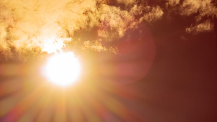 Fruticultores alertas por ola de calor extrema en zonas productivas