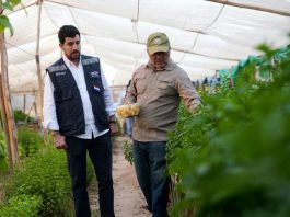 INDAP inaugura obras que aseguran el riego y aumentan la superficie cultivable en Arica y Parinacota