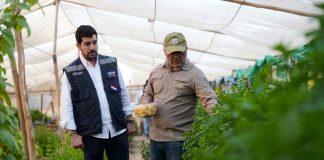 INDAP inaugura obras que aseguran el riego y aumentan la superficie cultivable en Arica y Parinacota