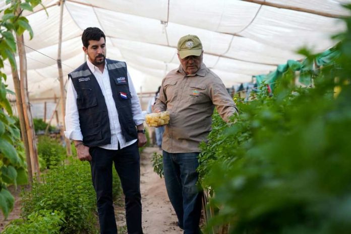 INDAP inaugura obras que aseguran el riego y aumentan la superficie cultivable en Arica y Parinacota