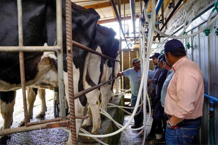 INDAP incorpora mejoras a Programa Prodesal que beneficiará a más de 68 mil agricultores