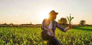 Investigadores UAI realizarán estudio sobre microorganismos que aceleran el crecimiento de plantas con miras a fortalecer una agricultura sostenible en Chile