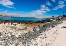 Investigadores de la U. Autónoma analizan impacto del cambio climático y acción humana en playas