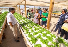 Ministerio de Agricultura reafirma compromiso para entregar terreno productivo para agricultores de Mejillones