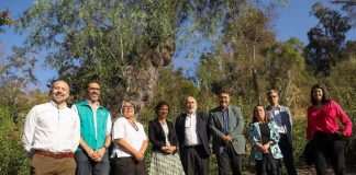 Plan Nacional de Restauración de Paisajes Chile recuperará sus paisajes y ecosistemas para 2030