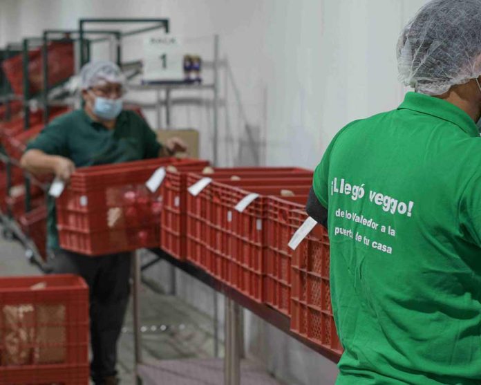 Plataforma online nacida en Lo Valledor busca liderar la venta mayorista de frutas y verduras