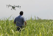 Proyecto Corfo Fortalece Pyme Aconcagua Quillota potenciará nuevas tecnologías en agricultores locales