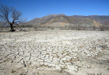 Proyecto busca potabilizar el agua de Petorca en base a paneles fotovoltaicos