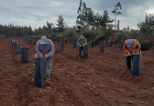Proyecto de INFOR benefició el aumento de producción melífera a más de 200 agricultores del Biobío