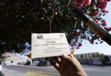 SAG culmina trabajos en campaña mosca de la fruta de Cerro Navia