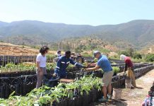 Sostenibilidad con enfoque de género en Agrícola La Quebrada del Ají