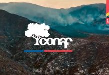 ¡Prevenir un incendio forestal es más fácil que combatirlo!