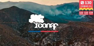 ¡Prevenir un incendio forestal es más fácil que combatirlo!