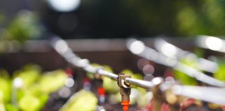 proyecto de modificación y prórroga de ley de riego