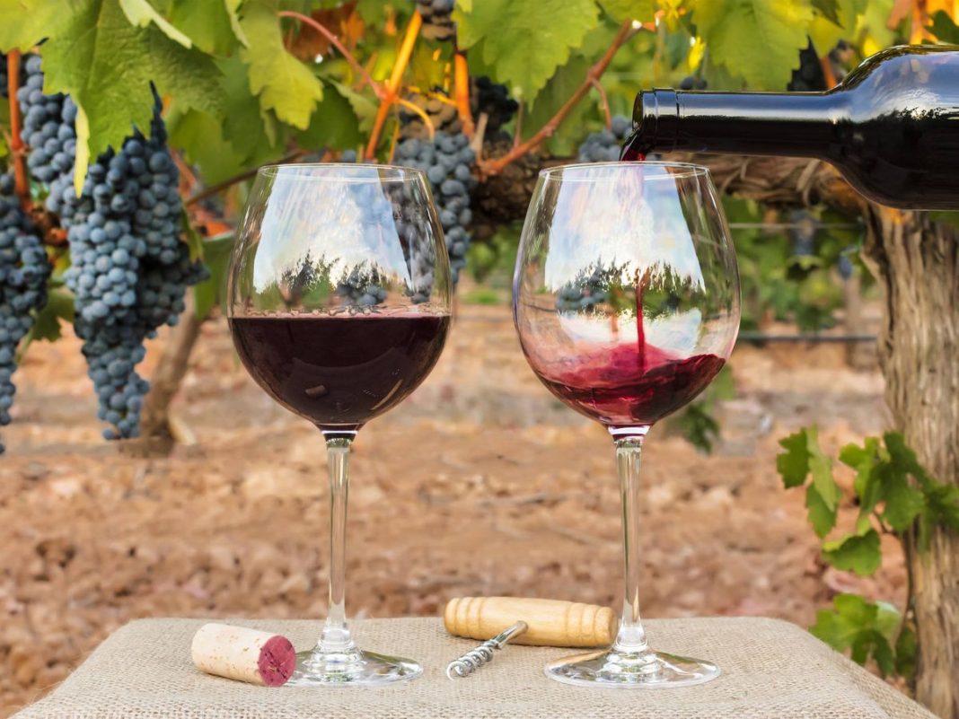 ¿Cómo el sector vitivinícola gestiona su última milla