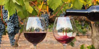 ¿Cómo el sector vitivinícola gestiona su última milla