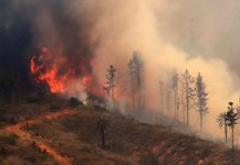 ASOEX manifiesta preocupación ante los incendios que afectan el país y anuncia coordinación con autoridades para ir en apoyo