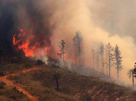 ASOEX manifiesta preocupación ante los incendios que afectan el país y anuncia coordinación con autoridades para ir en apoyo