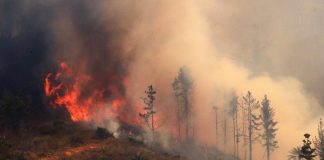 ASOEX manifiesta preocupación ante los incendios que afectan el país y anuncia coordinación con autoridades para ir en apoyo
