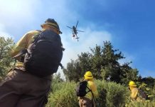 CONAF confirma gran despliegue de recursos en los incendios forestales del centro-sur del país