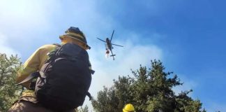CONAF confirma gran despliegue de recursos en los incendios forestales del centro-sur del país