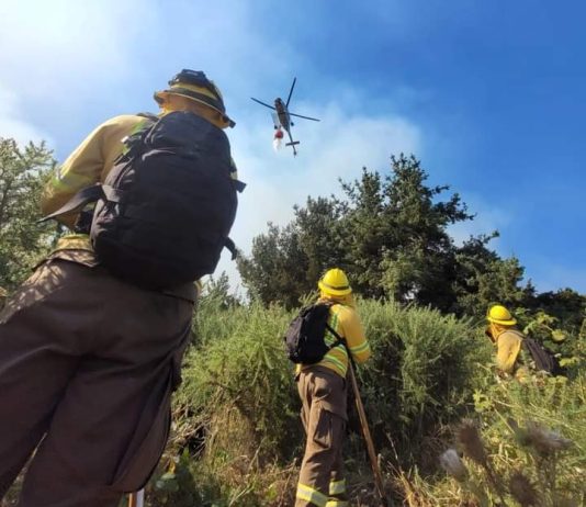 CONAF confirma gran despliegue de recursos en los incendios forestales del centro-sur del país