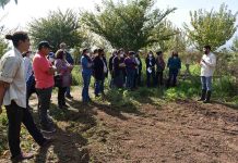 Ceres liderará proyecto FIC-R que diseñará modelo de agricultura sostenible para la región de Valparaíso