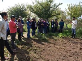 Ceres liderará proyecto FIC-R que diseñará modelo de agricultura sostenible para la región de Valparaíso