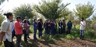Ceres liderará proyecto FIC-R que diseñará modelo de agricultura sostenible para la región de Valparaíso
