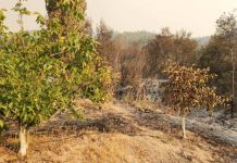 Familias de temporeros, pequeños agricultores, y fruticultores de “zonas cero” son los principales damnificados por la catástrofe