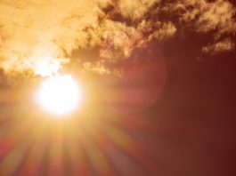 Fruticultores alertas por ola de calor extrema en zonas productivas Fruticultores alertas por ola de calor extrema en zonas productivas