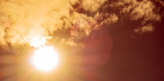 Fruticultores alertas por ola de calor extrema en zonas productivas