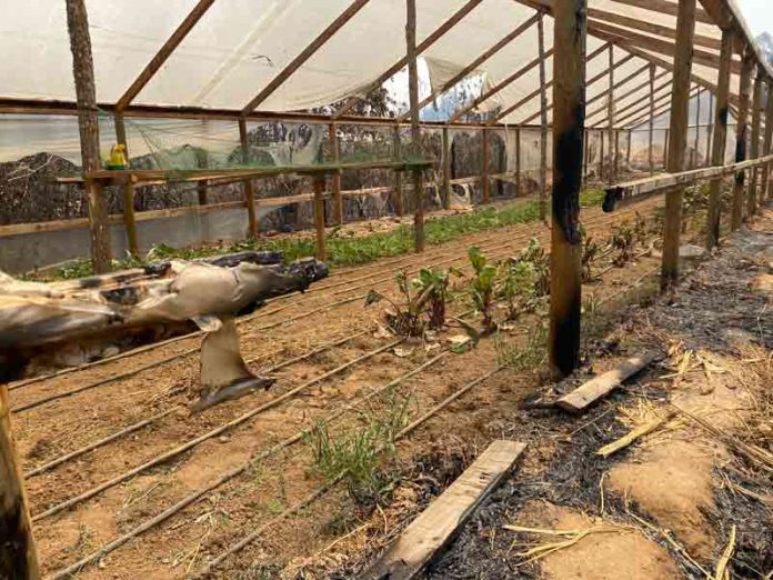 INDAP hace un llamado para que agricultores con seguros agropecuarios, afectados por los incendios, hagan los denuncios