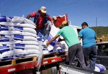 Más de 400 millones en dinero y especies ha entregado INDAP en ayuda a pequeños agricultores y agricultoras afectadas por los incendios
