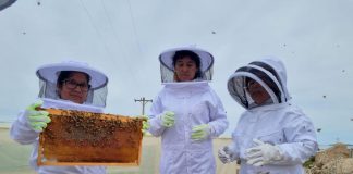 Mujeres lideran proyecto de apicultura