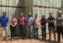 Productores de uva mesa se unen y realizan primera exportación directa a EE.UU.