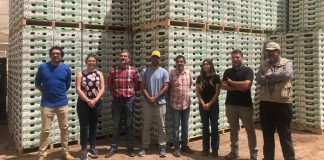Productores de uva mesa se unen y realizan primera exportación directa a EE.UU.