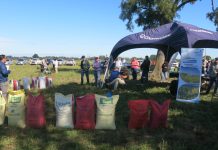 Productores conocieron variedades y especies forrajeras en un nuevo Día de Campo