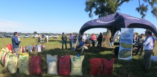 Productores conocieron variedades y especies forrajeras en un nuevo Día de Campo