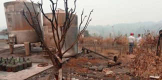 Secretario Ejecutivo de la CNR en región de Ñuble: "Van a existir los recursos especiales para reponer los equipos de riego y la agricultura"