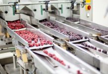 Según ONU se pierden 1.300 toneladas anuales de alimentos gases en cámaras frías protegen hasta por un año frutas chilenas de exportación
