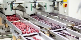 Según ONU se pierden 1.300 toneladas anuales de alimentos gases en cámaras frías protegen hasta por un año frutas chilenas de exportación