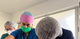 Veterinarios UdeC hacen llamado a la comunidad para que colaboren en el cuidado de los animales silvestres afectados por los incendios