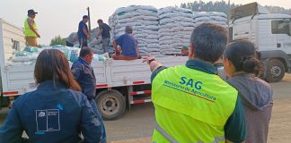 alimento animal para enfrentar la emergencia en la región del Biobío